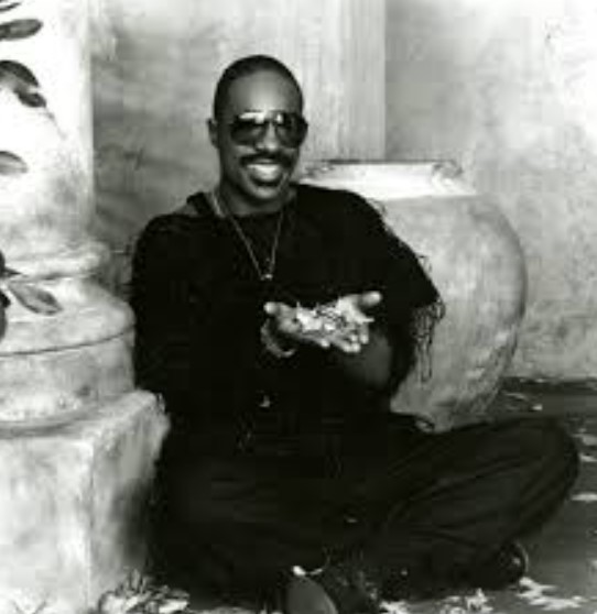 Stevie Wonder Fan Mail Address