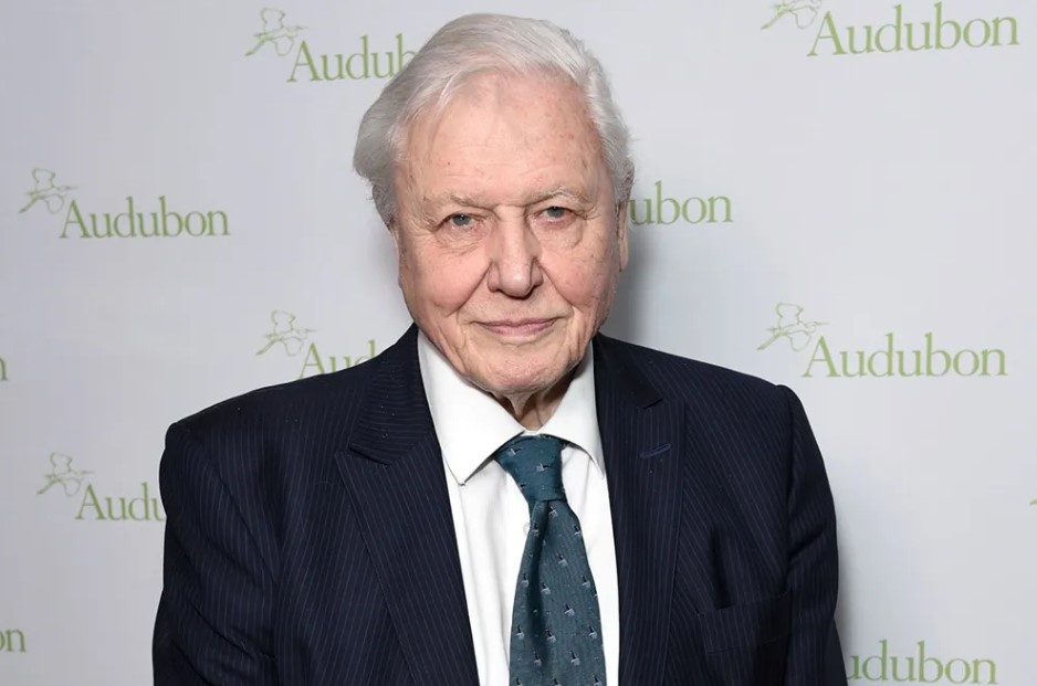 David Attenborough Fan Mail Address