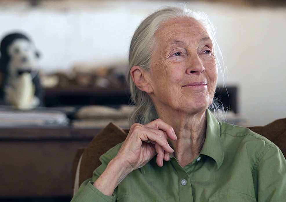 Jane Goodall contact