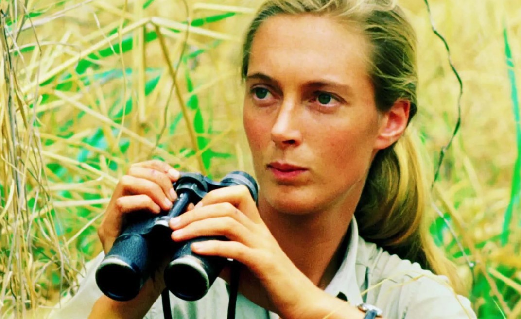 Jane Goodall pic