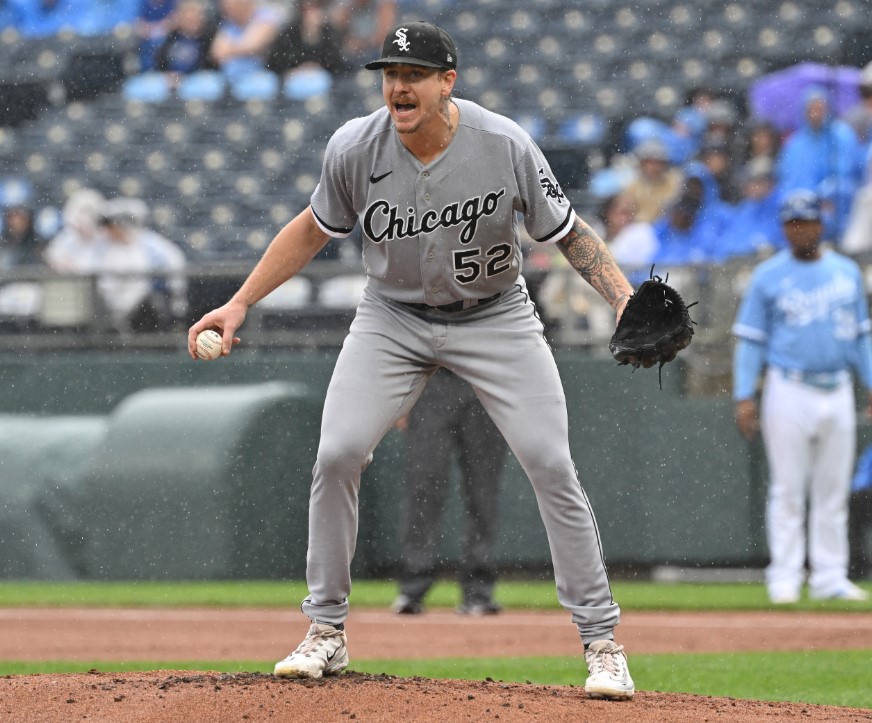 Chicago White Sox picture