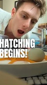 Riyadh Khalaf Fan Mail Address